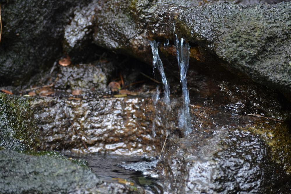 Forked Mountain Falls - 1 hour and 15 minutes from Little Rock