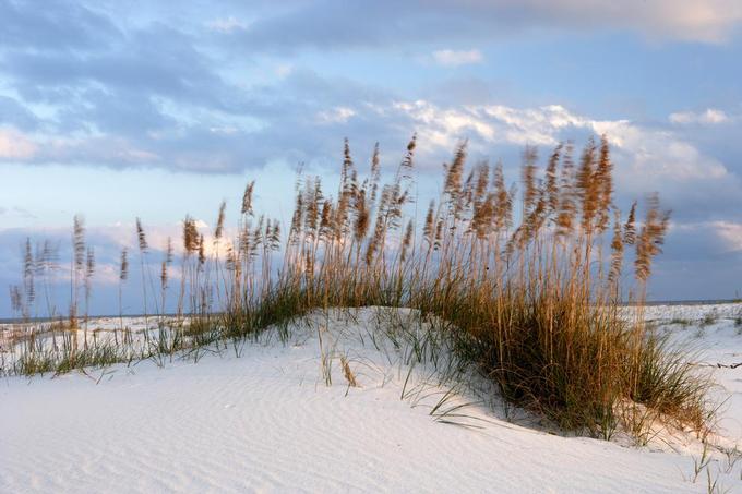 10 Best Alabama Beaches for a Relaxing Weekend Trip