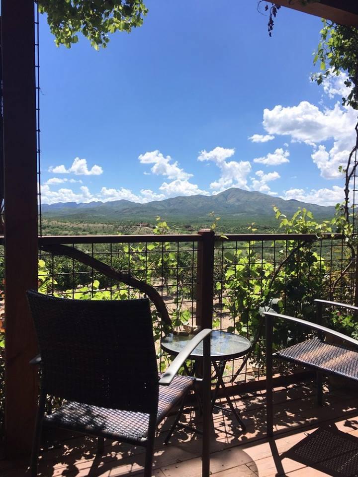 Unwind With Sweeping Views and Signature Rose at Charron Vineyards