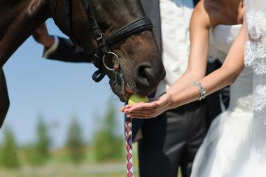 Wedding Venues in AZ: Jackpot Ranch