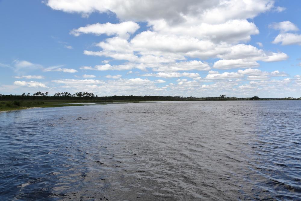 Bald Point State Park - 1 hour and 15 minutes from Tallahassee, FL