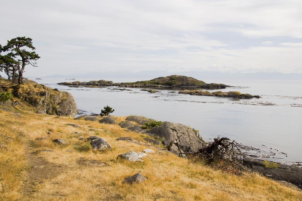 Bike, Relax, and Recharge: Lopez Island’s Laid-Back Magic Awaits