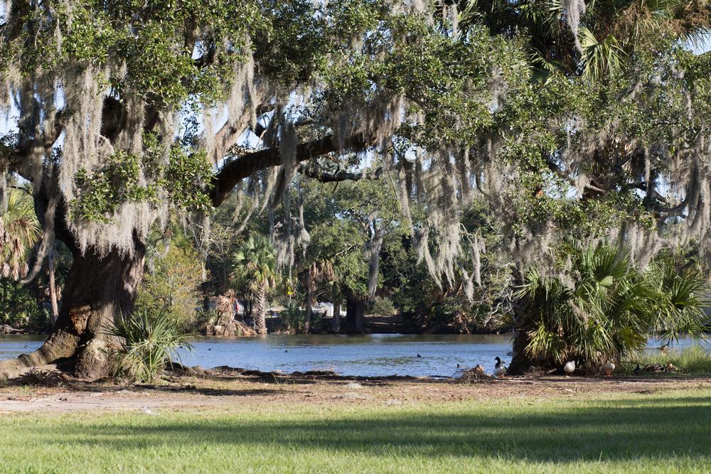For Paddlers: Lake Bistineau