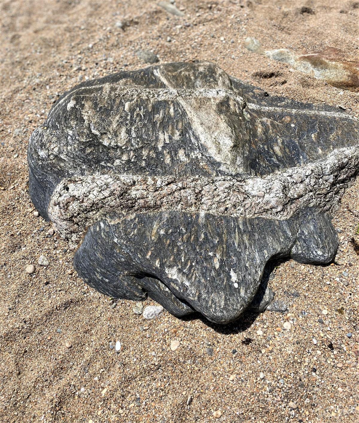 Explore natural habitats and admire peaceful coastal sights.