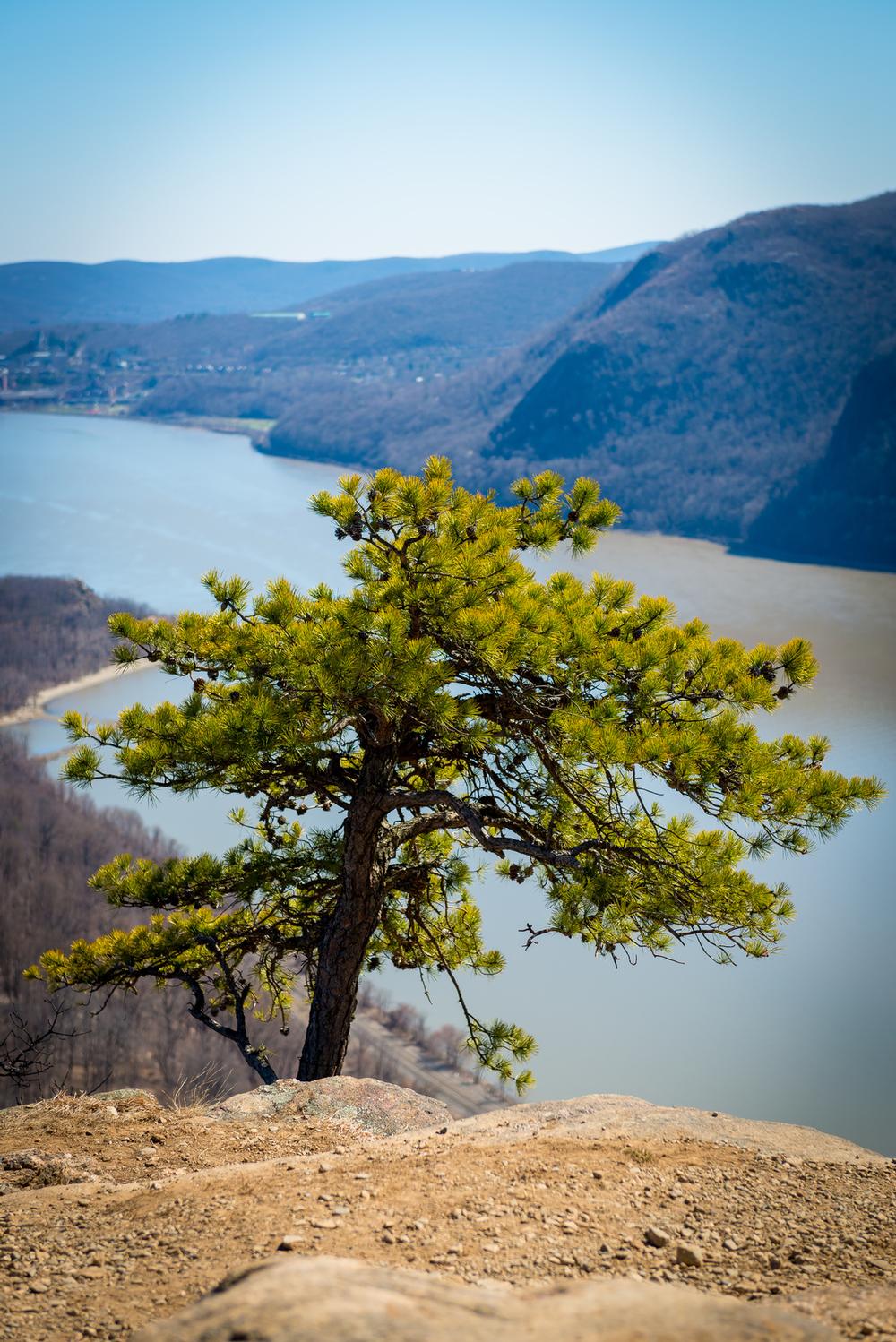 Hike Through History on Blue Mountain