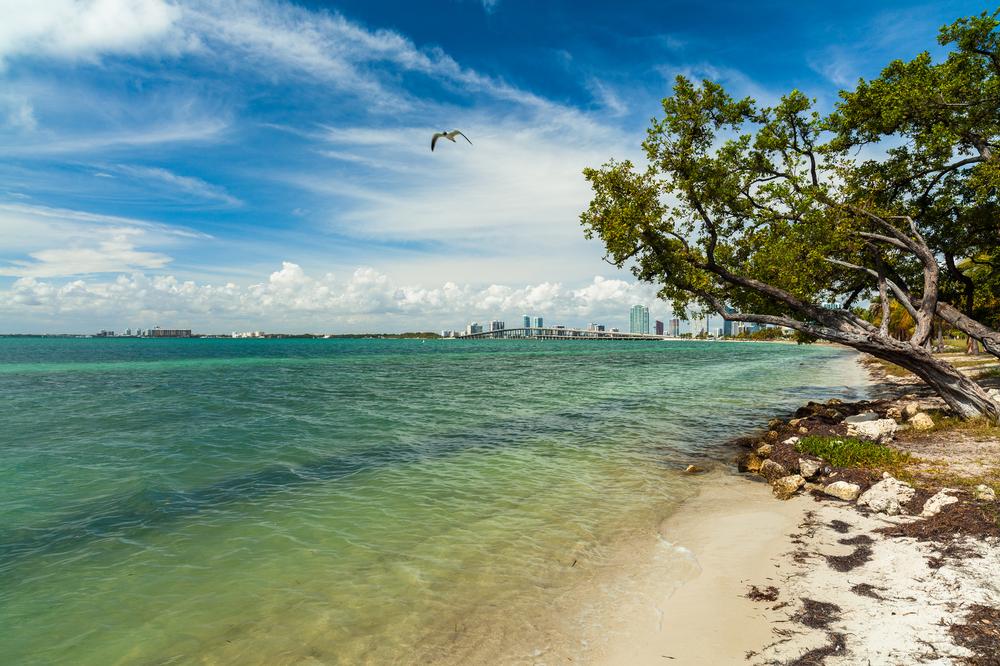 Virginia Key Beach - 15 minutes from Downtown Miami