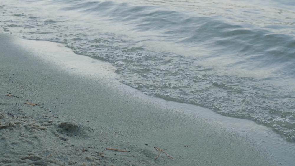 Pleasure Bay Beach | Beaches Near Boston, MA