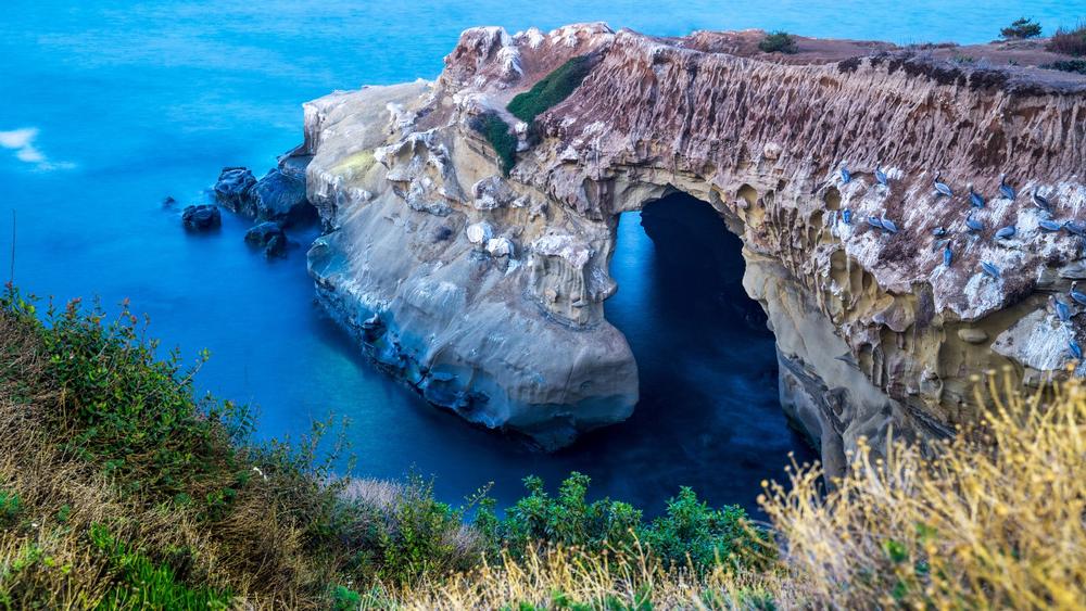 Snorkel with seals, and bask in stunning views.