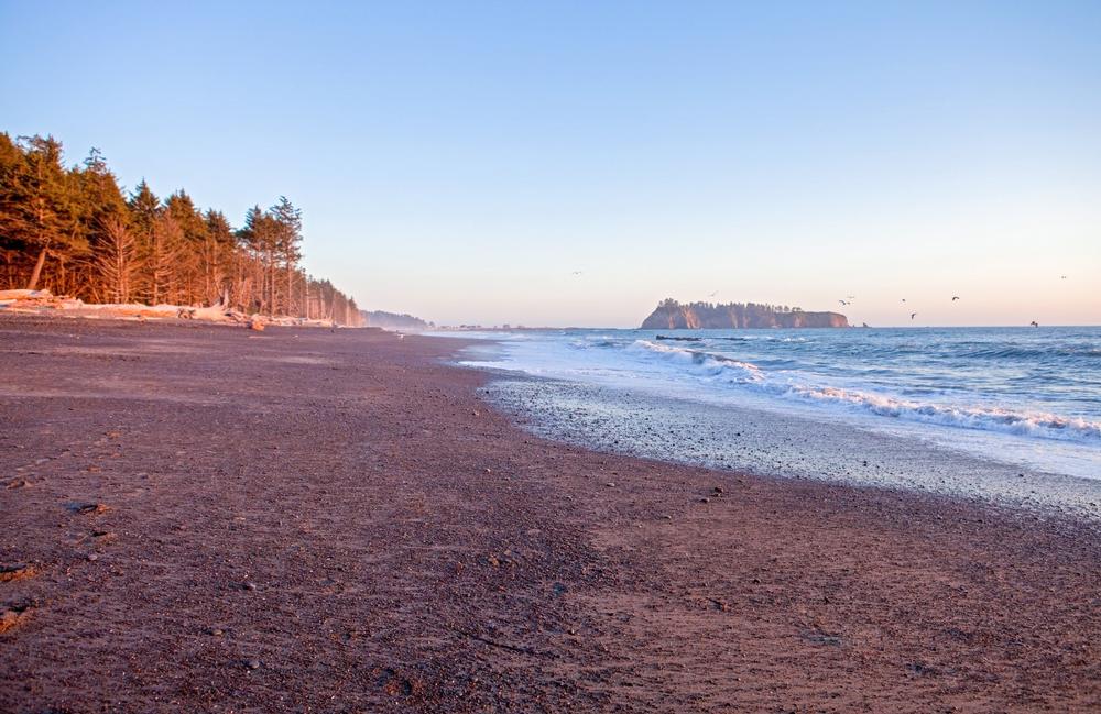 Explore driftwood beaches, watch whales, hike the coastal rainforest trails nearby.