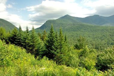 East Osceola | Mountains in New Hampshire