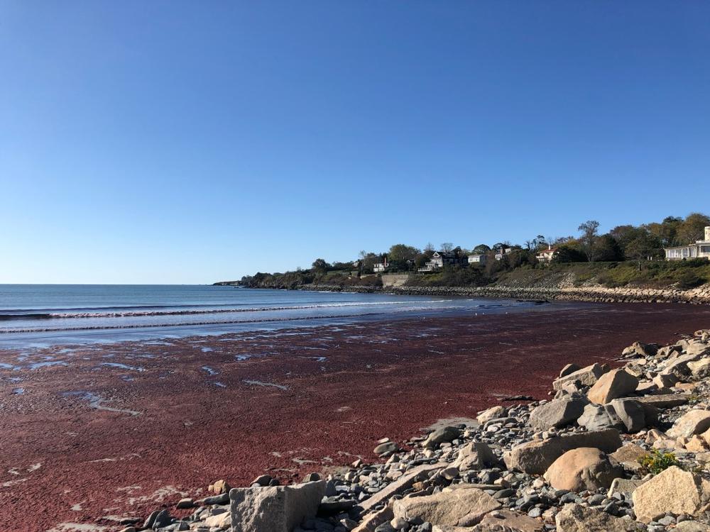 Easton's Beach, Rhode Island