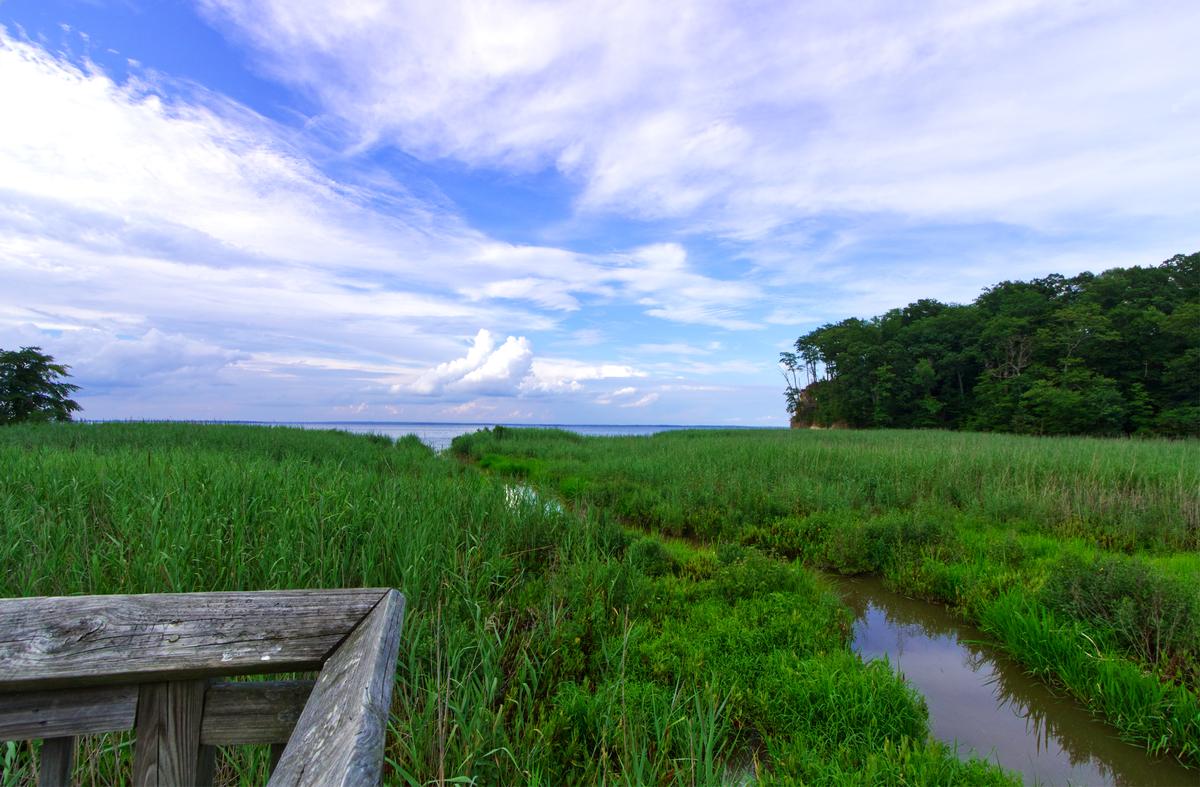 Westmoreland State Park Campground
