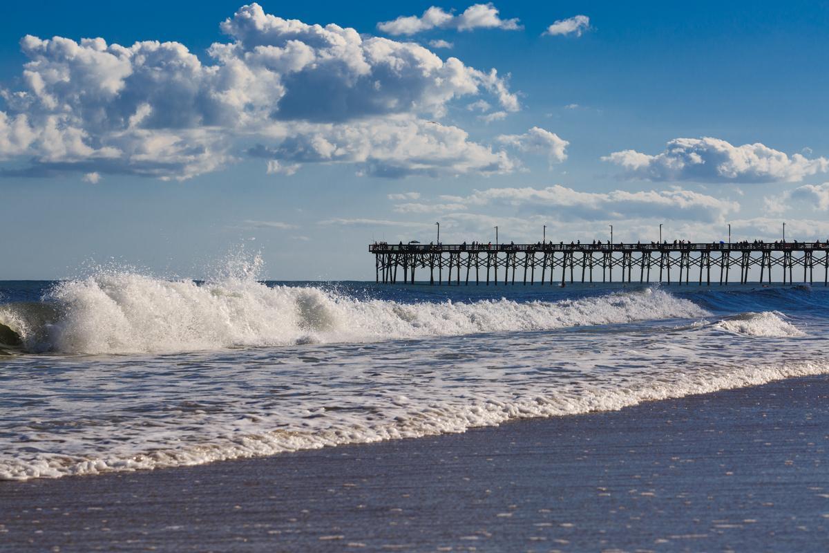 Walk along quiet shores and search for shark teeth.