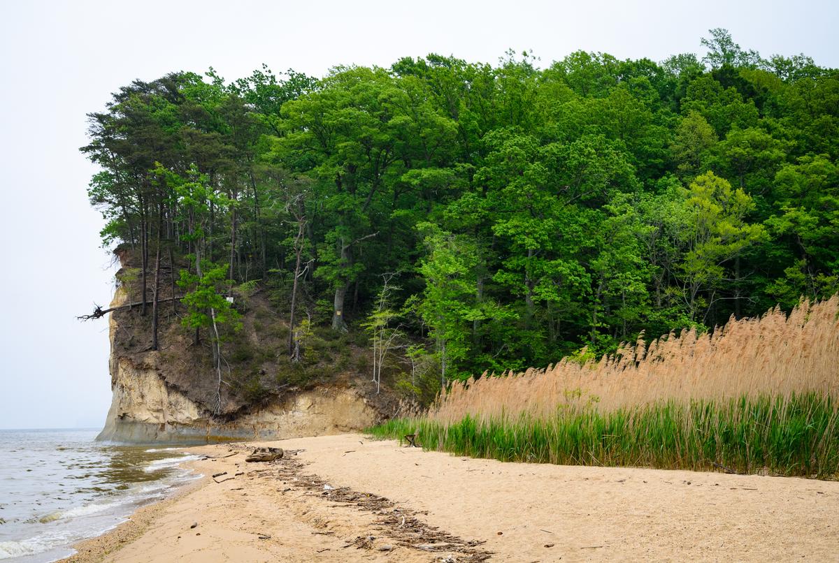 Westmoreland State Park