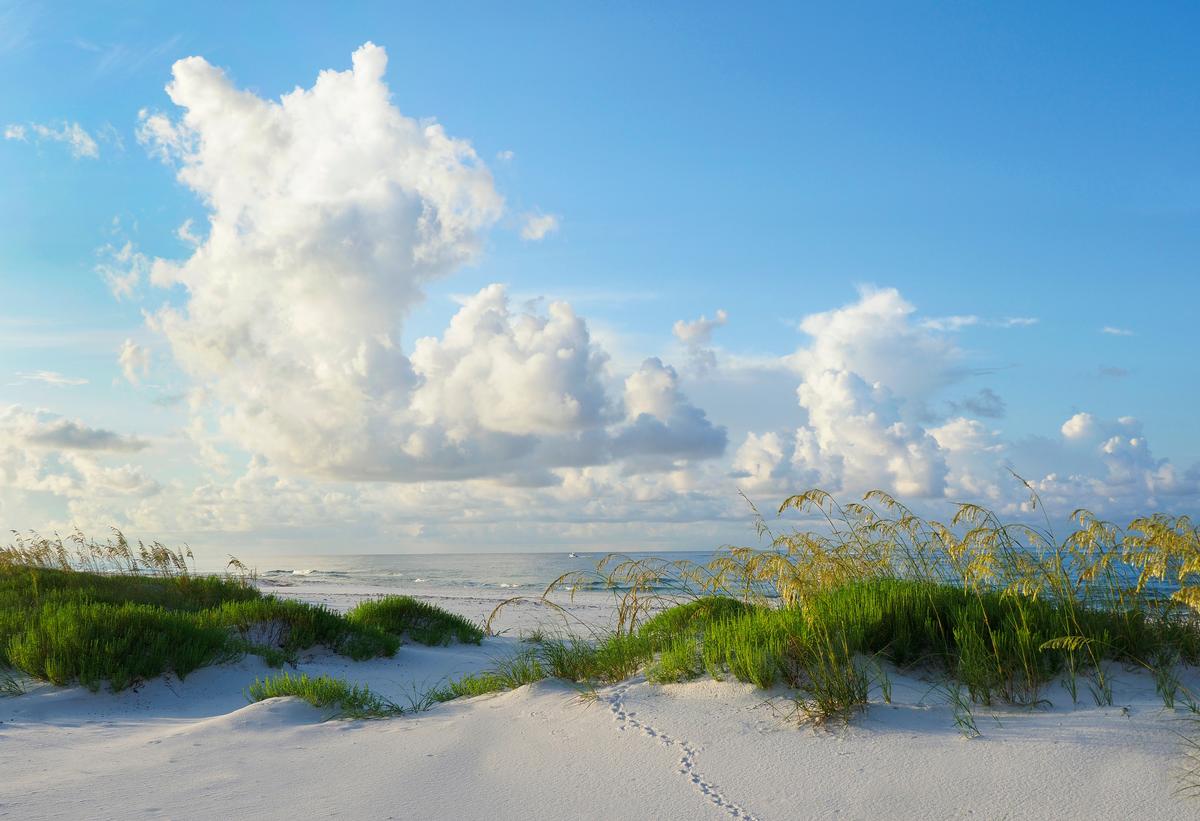 White Sand Dunes