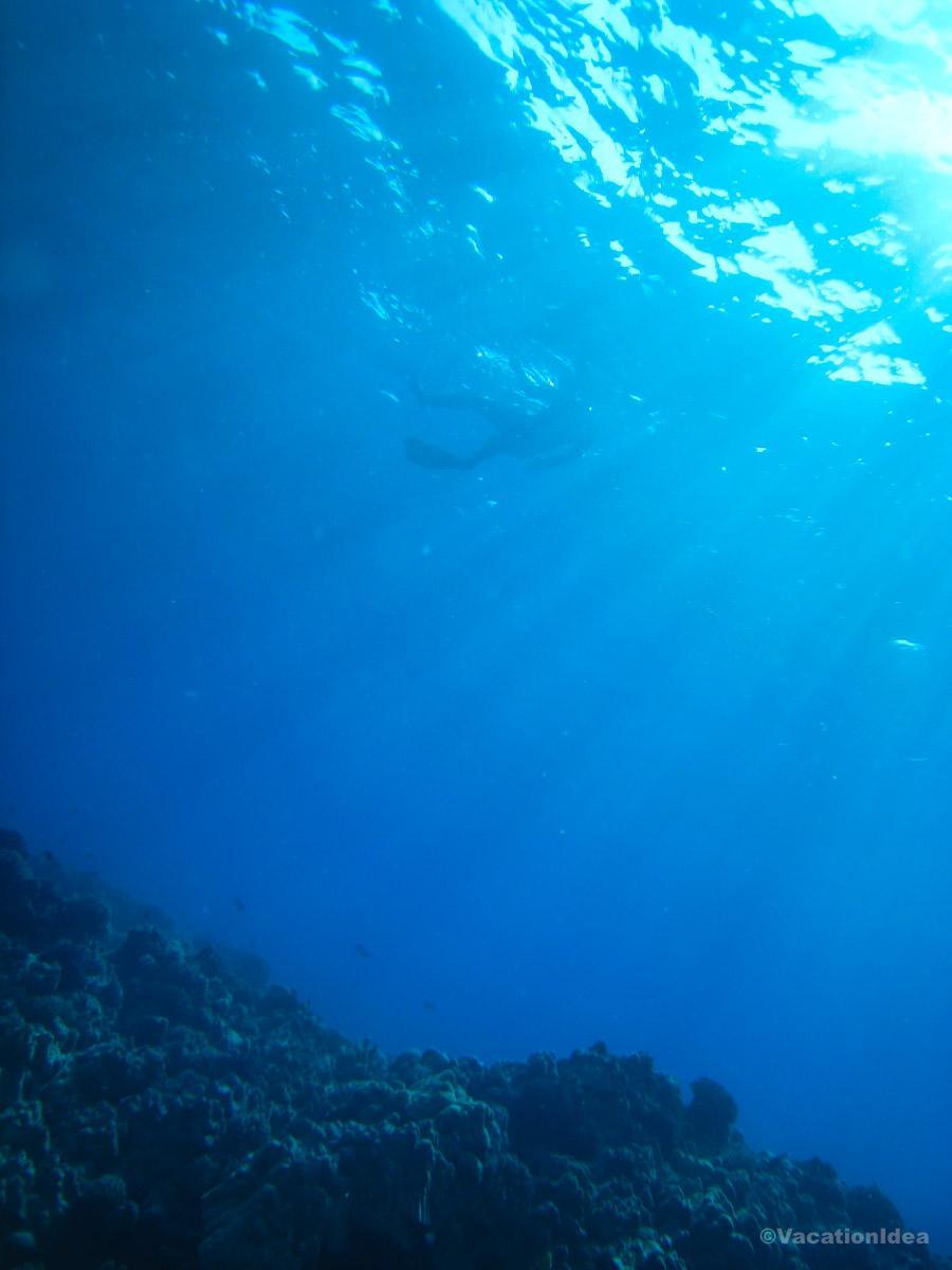 A photo I took on one of our favorite snorkeling trips