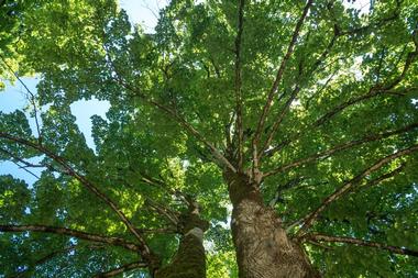 Natural Bridge State Park | Things to Do in the Berkshires, Massachusetts