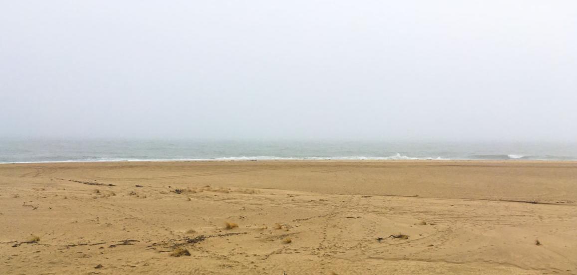 My photo of Bald Point State Park on a stormy day