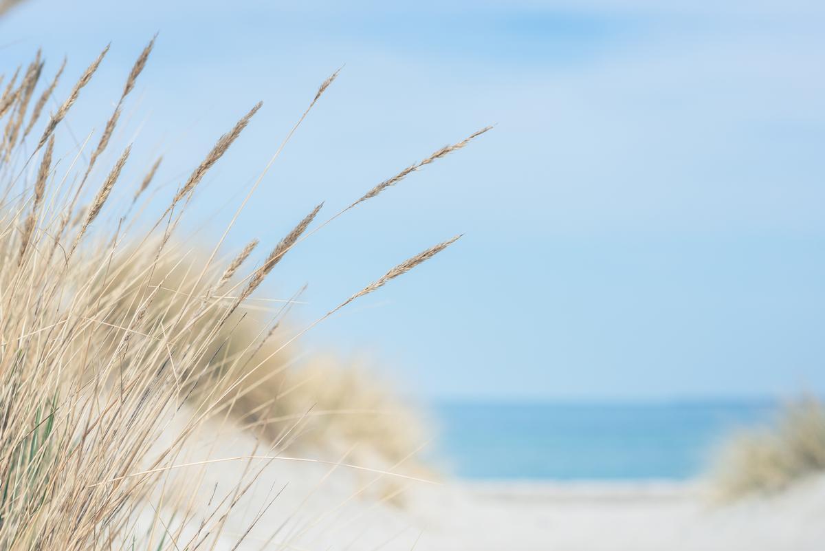 Walk along quiet shores and admire diverse coastal habitats.