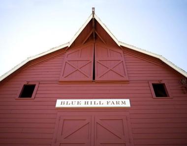 Blue Hill Farm