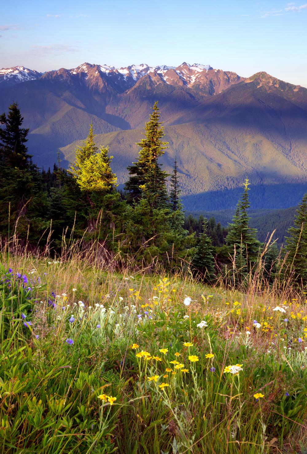 Conquer the Mythical Heights of Mount Olympus
