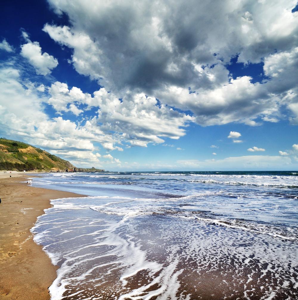 Stinson Beach - 40 minutes from San Francisco by car