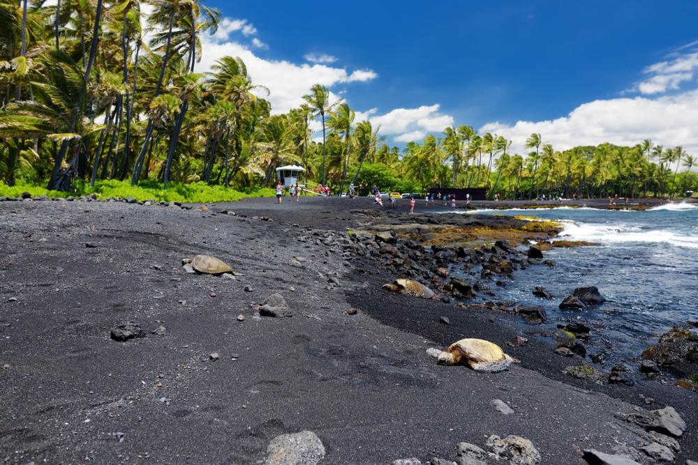 Walk on black volcanic sands and spot resting sea turtles.
