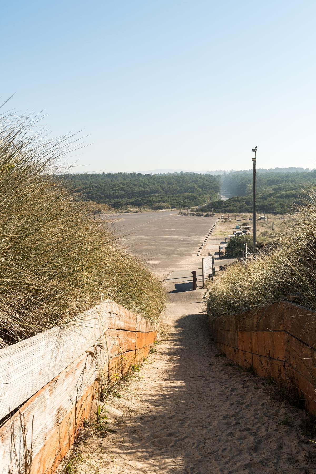 Horsfall Beach