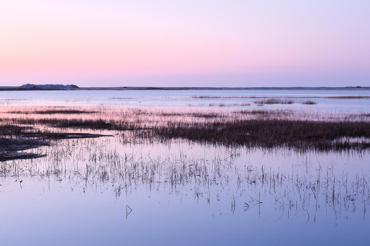 Chincoteague National Wildlife Refuge at Sunrise