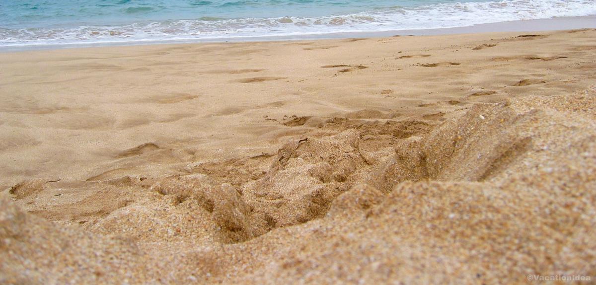 My photo of a sandy beach on our West Coast trip