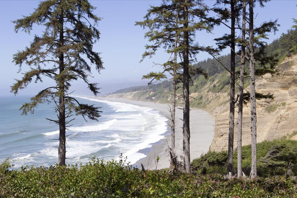 Agate Beach Park - 1 hour and 15 minutes by car from San Francisco