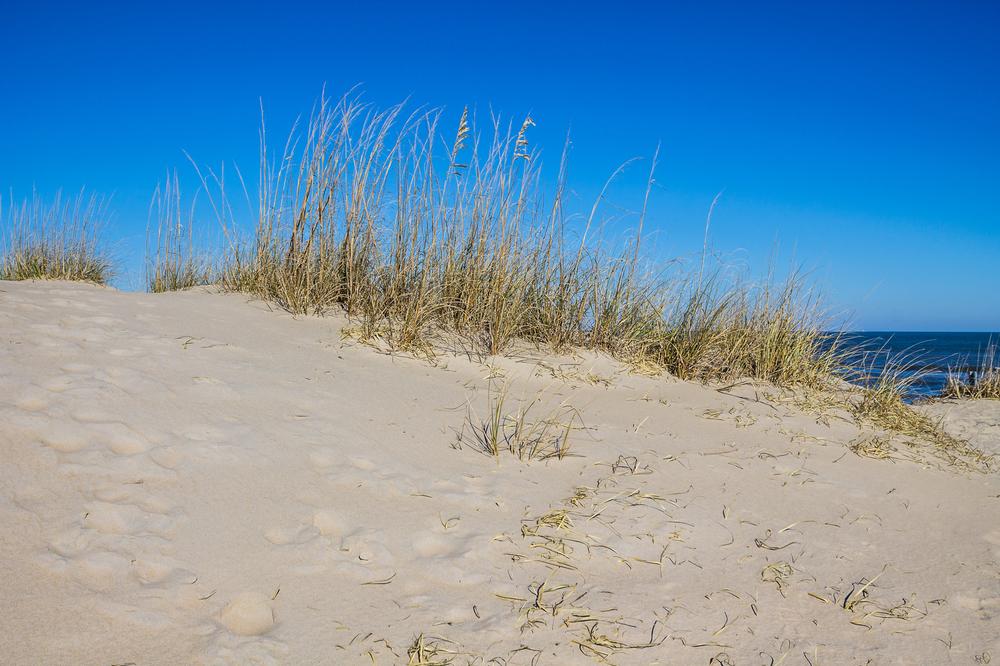 Bethel Beach Natural Area Preserve