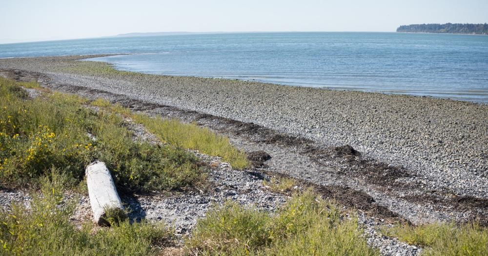 Birch Bay State Park - 2 hours from Seattle