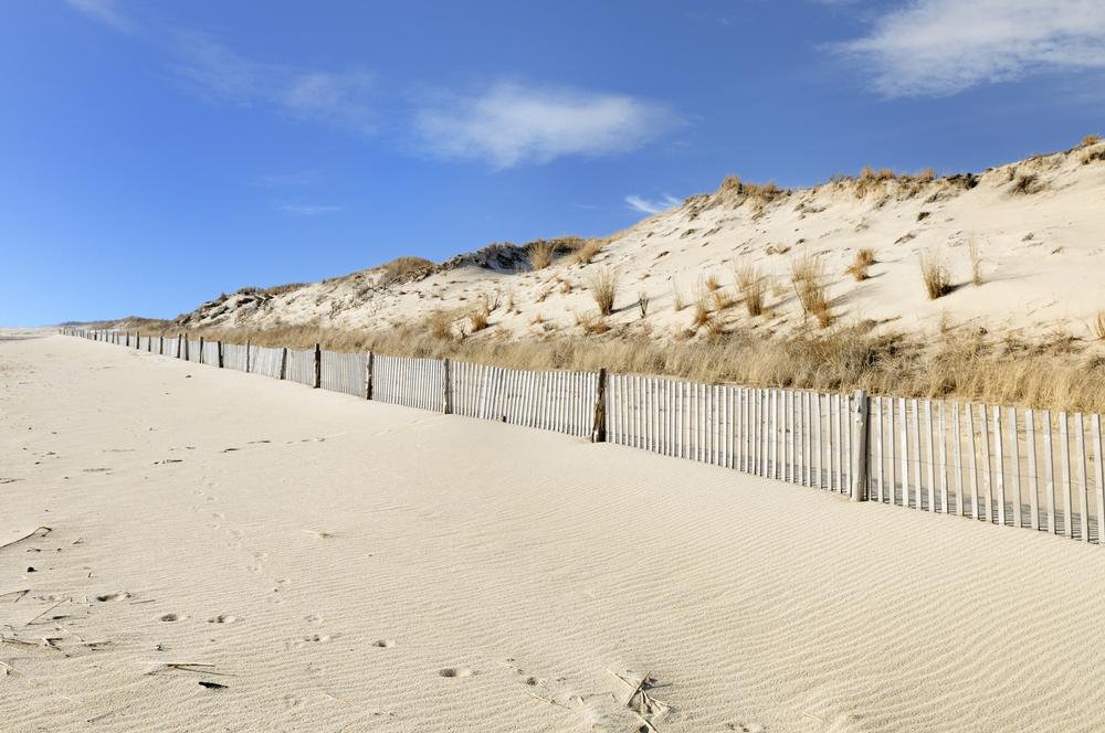 Explore scenic dunes and bike along coastal trails.