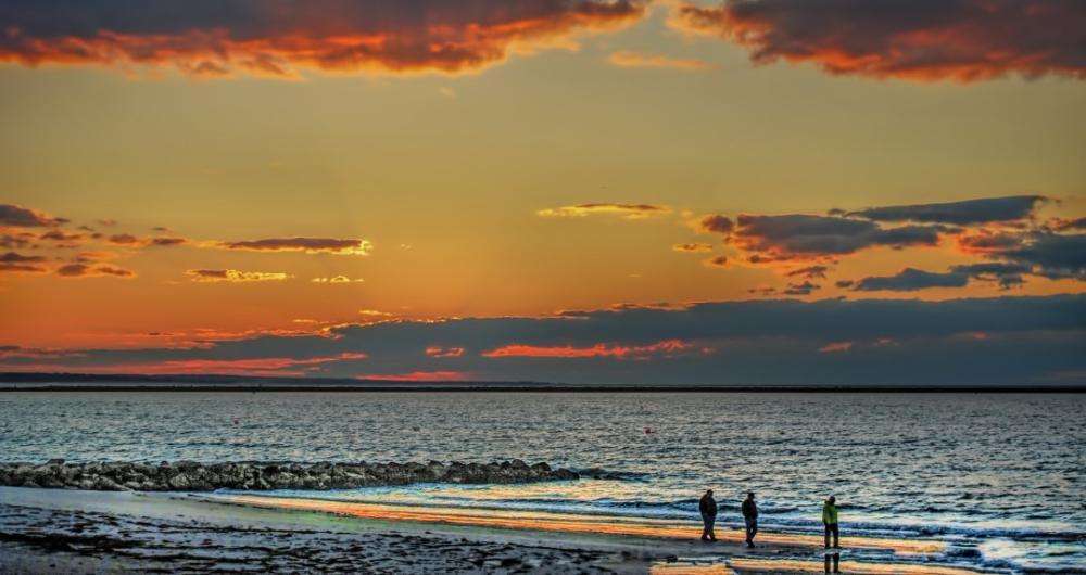 Charlestown, Rhode Island: Driftwood Trails and Ocean Air