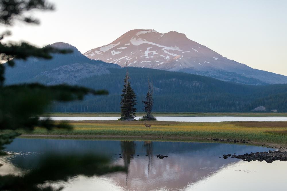 If You Seek a Stunning Summit, Hike South Sister
