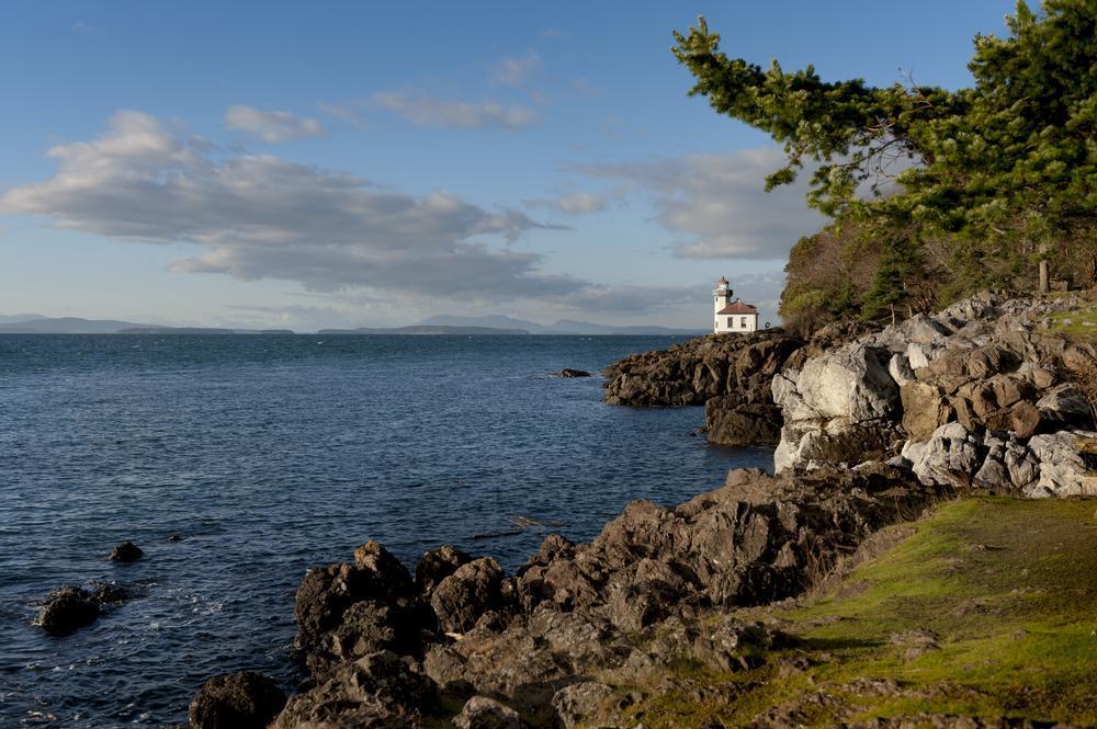 Plan a Perfect Getaway to San Juan Island: Where Wildlife Watching Wins