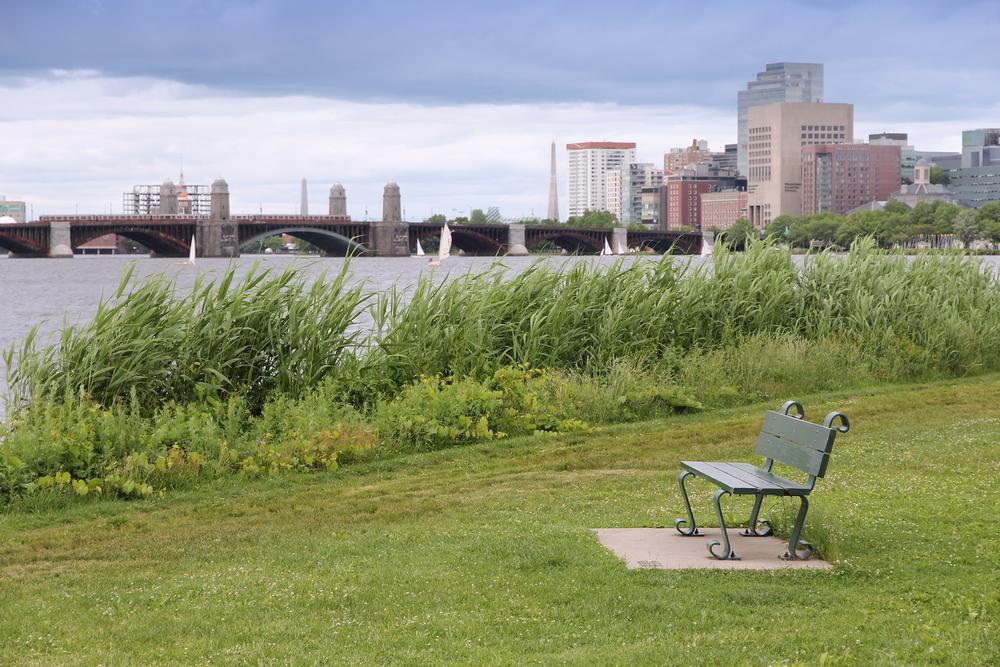 Walk along the river and enjoy vibrant waterfront activities.