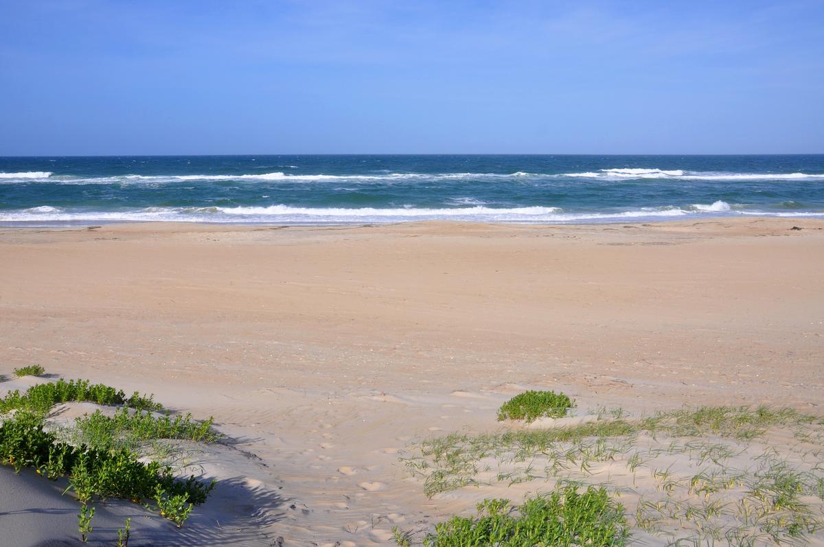 Sandy beach at Cape Hatteras National Seashore
