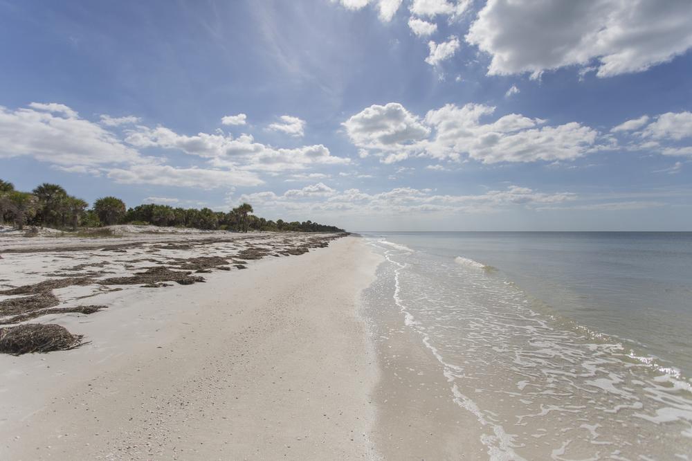 Caladesi Island State Park - 2 hours