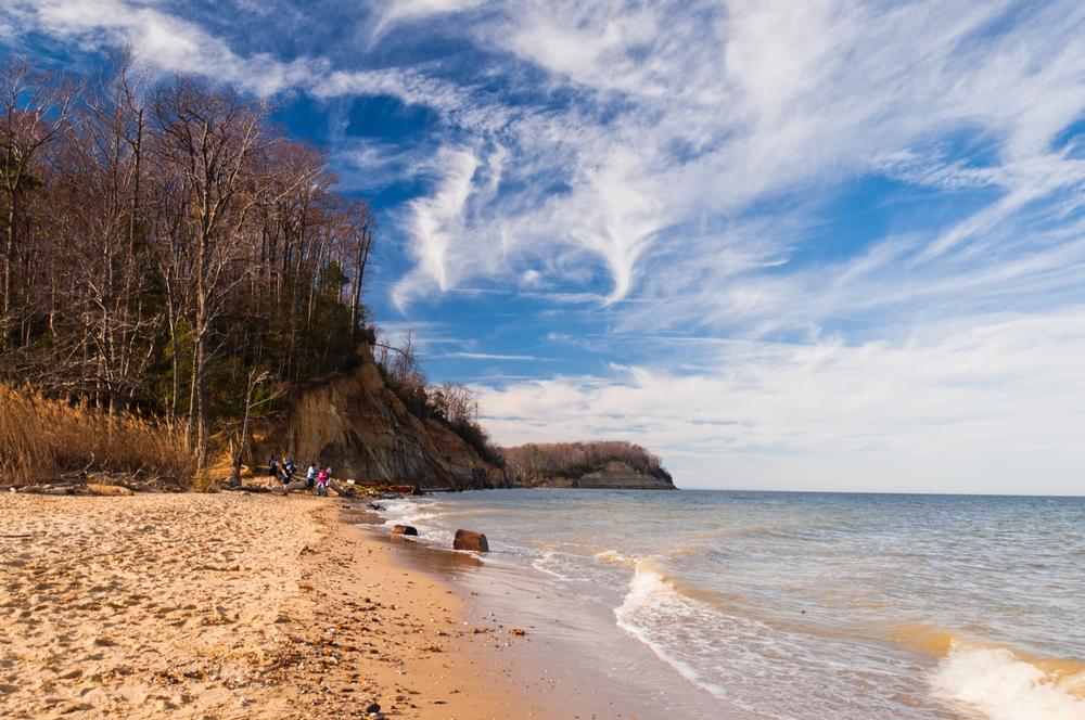 Hike scenic trails and hunt for fossils during an exciting adventure.