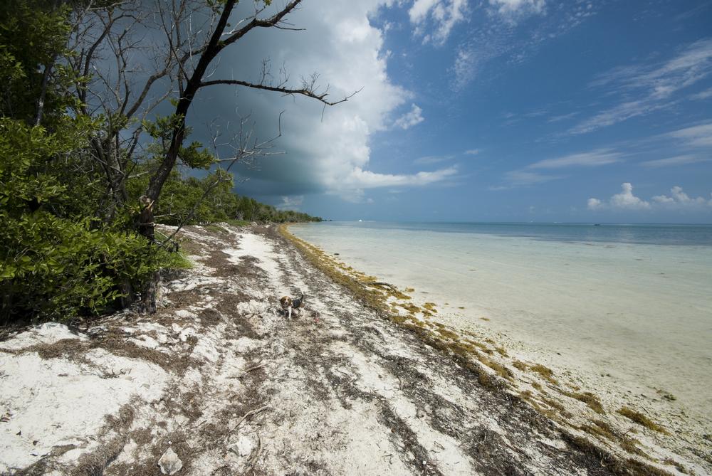 Coco Plum Beach - 2 hours by car from Key West