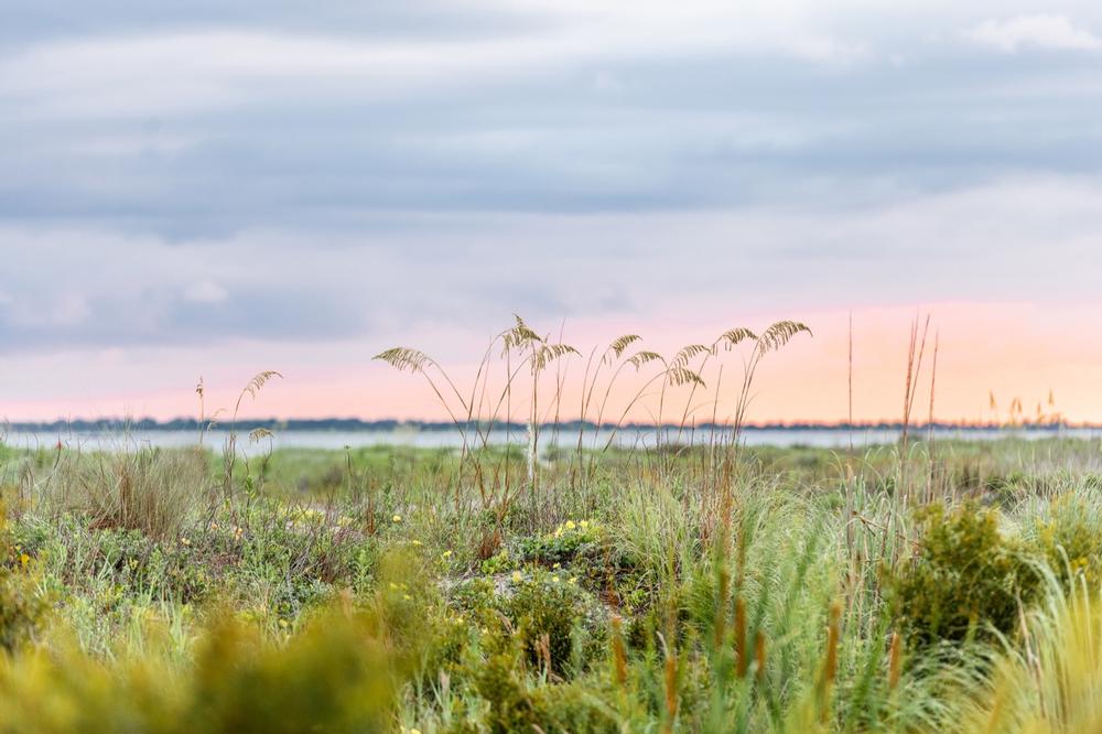 Sullivan's Island - 25 minutes from Charleston