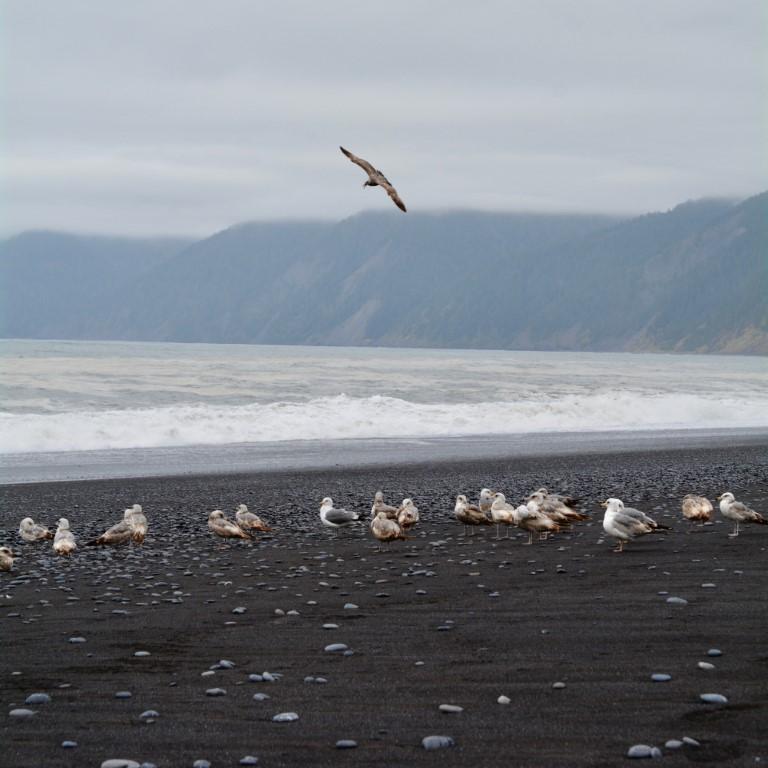 Hike through rugged trails and explore dramatic coastal scenery.
