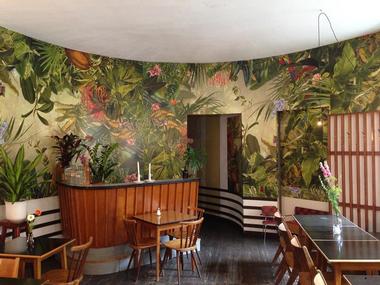 Cafe Nest