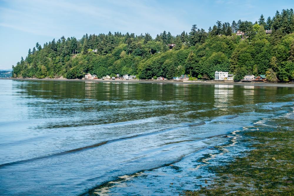 Dash Point State Park - 40-minute drive south of downtown Seattle