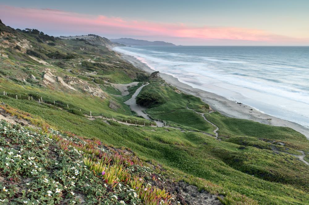 Let dogs run freely and enjoy hang gliding from scenic cliffs.