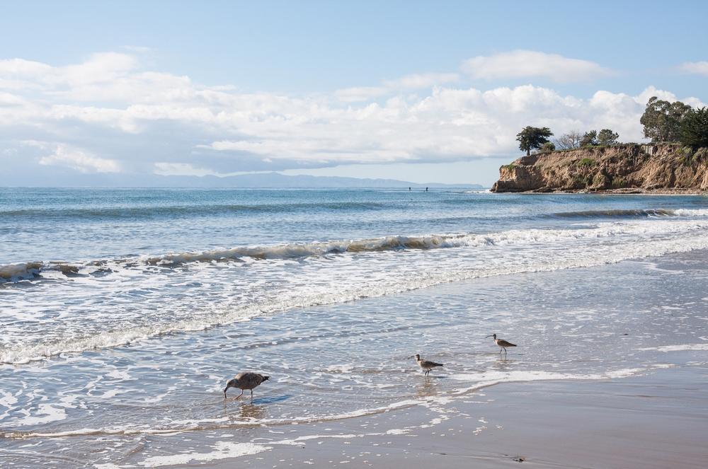 Leadbetter Beach - 5 minutes from downtown Santa Barbara