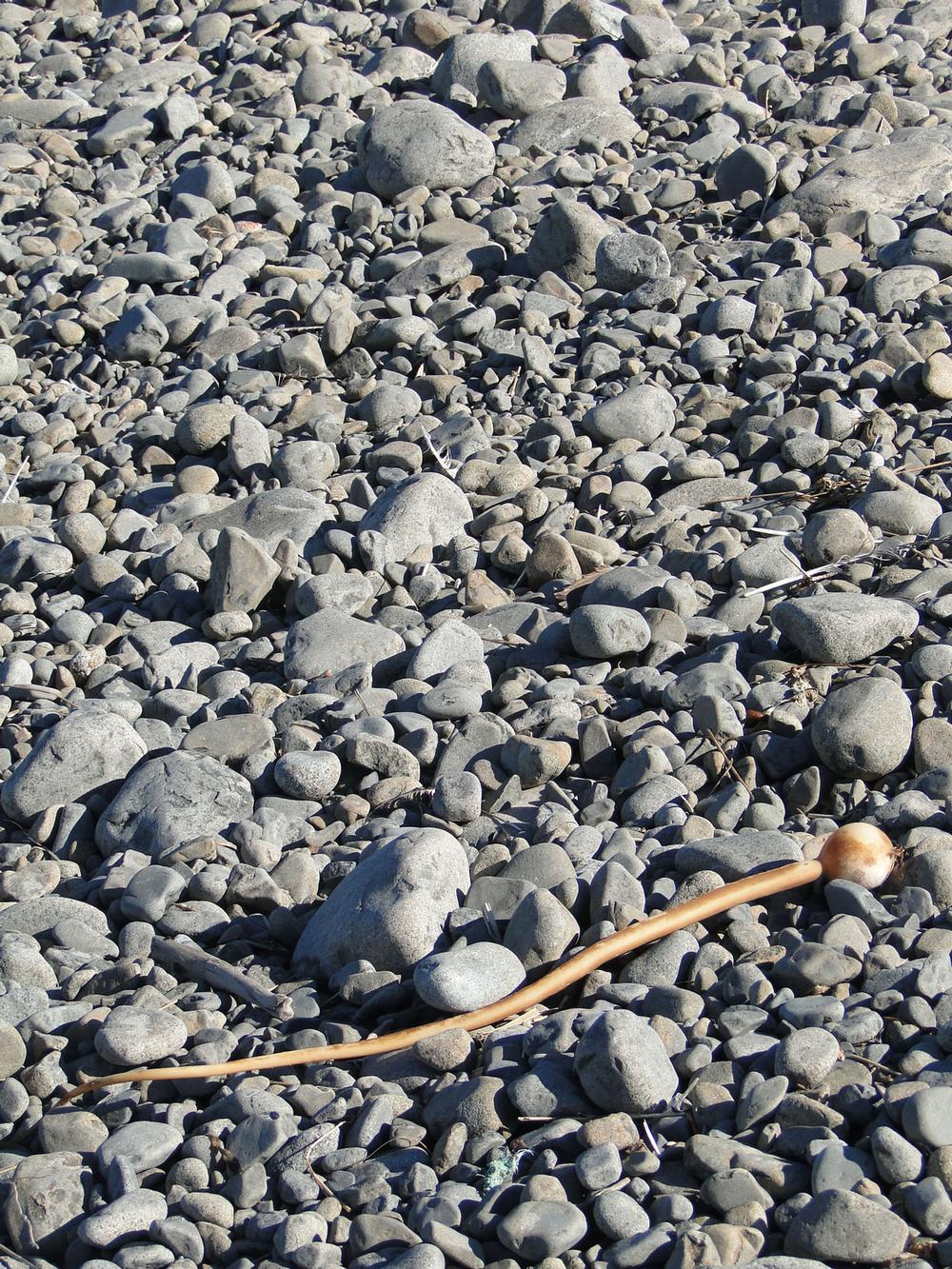 Narragansett Town Beach - 45-minute drive from Providence