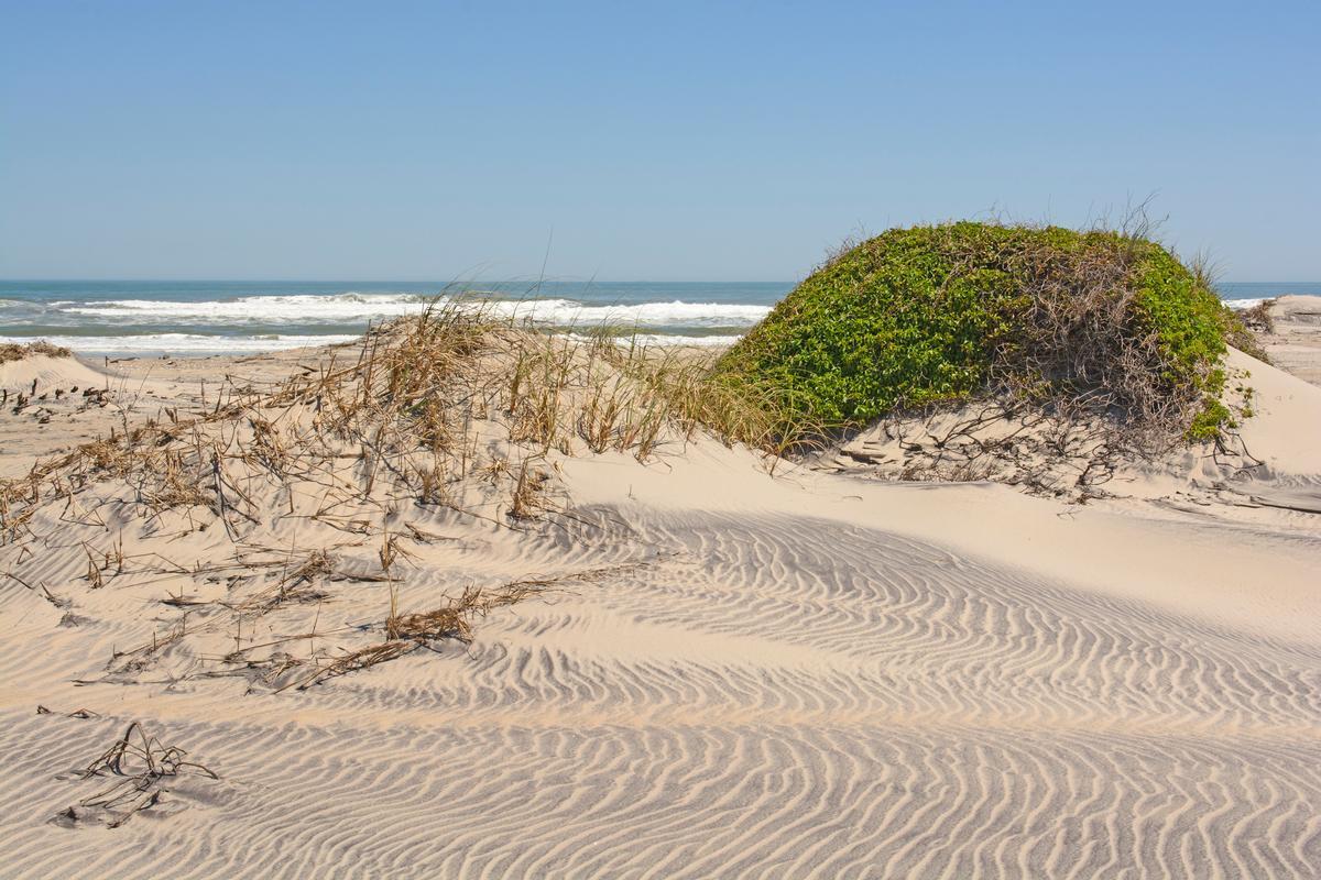 Pea Island National Wildlife Refuge